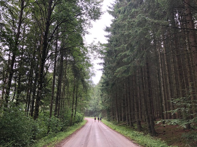 En rak grusväg som löper genom en tät skog med höga träd på båda sidor. Grönska längs vägkanterna och ljus himmel syns längre fram i perspektivet. Längst bort på grusvägen vandrar tre personer.