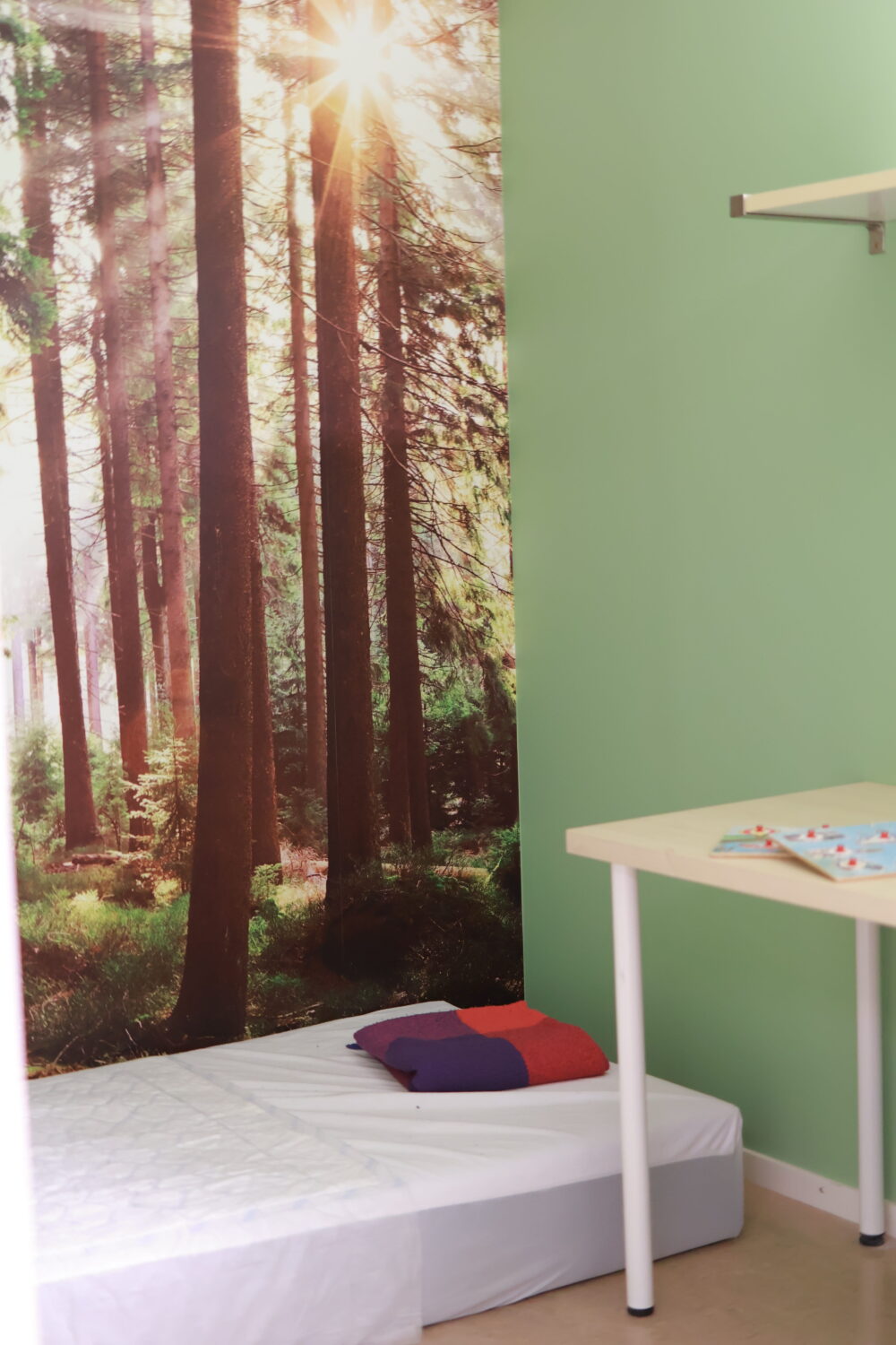 Lugn vilohörna med madrass,kudde och naturmotiv på väggen