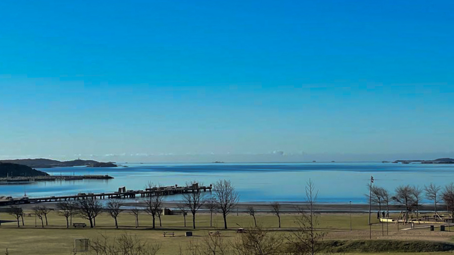 Utsikt över askimsviken med bryggor och små öar i bakgrunden,gräsområde och träd i förgrunden.