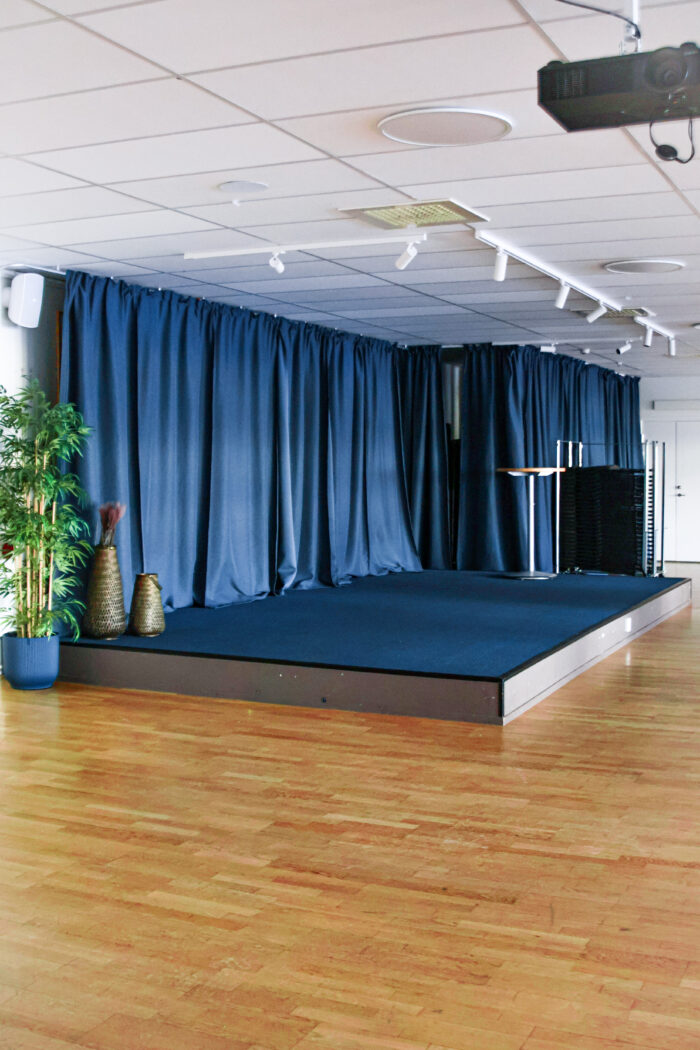 Scen med blåa draperier mot väggen. Vita lampskenor i taket och en grön växt vid sidan av scenen.